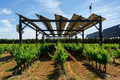 WFN-Agrovoltaico-2-1170x780-1