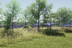 wfn4