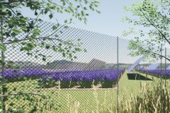 wfn6