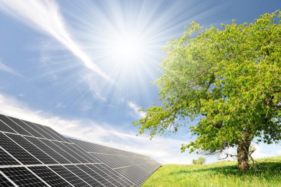 https://www.wfnenergy.it/wp-content/uploads/2016/11/WFN1-570x380-1-570x380.jpeg