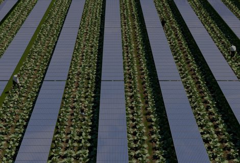 https://www.wfnenergy.it/wp-content/uploads/2021/12/slidernew1-470x320.jpg